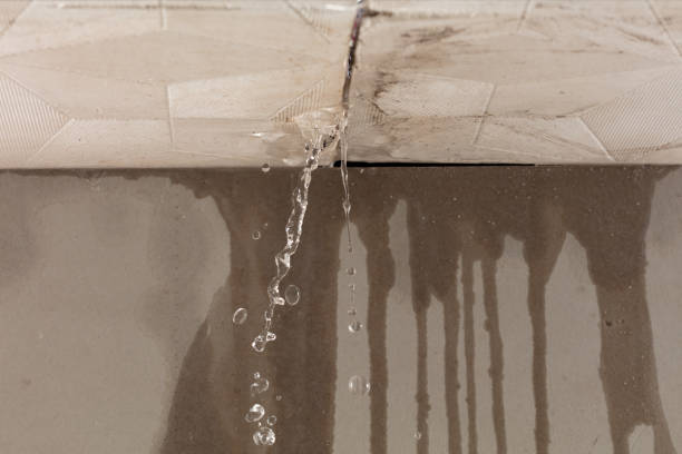 Professional Sewage Cleanup technician working in Fairview, TN